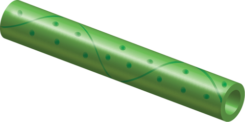 Illustration of tube-shaped plant xylem cells